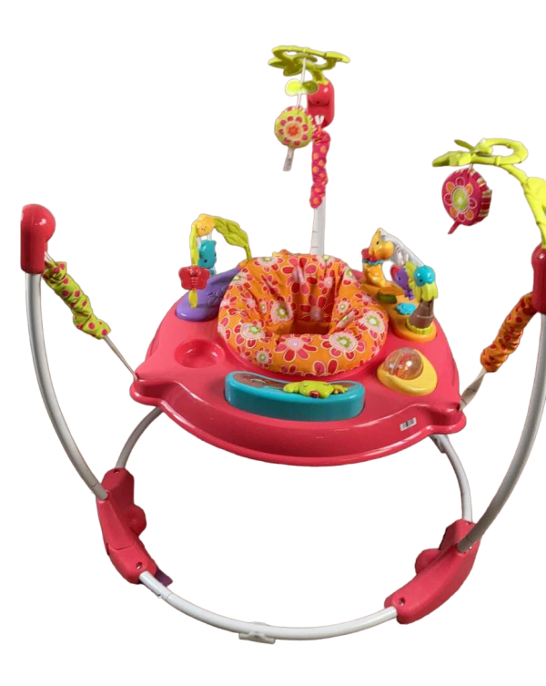 Fisher Price Jumperoo Activity Center, Pink Petals Online Sale - Image 2