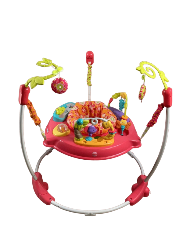 Fisher Price Jumperoo Activity Center, Pink Petals Online Sale